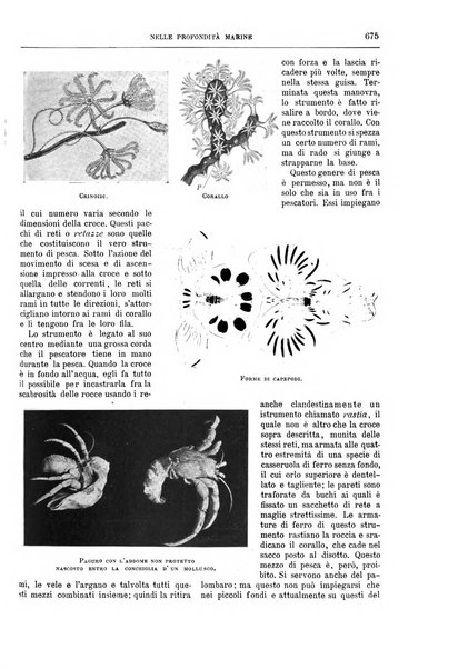 Natura ed arte rivista illustrata quindicinale italiana e straniera di scienze, lettere ed arti