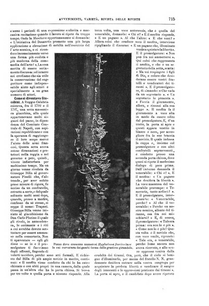 Natura ed arte rivista illustrata quindicinale italiana e straniera di scienze, lettere ed arti