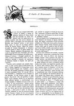 giornale/TO00189526/1907/unico/00000039