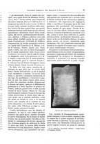 giornale/TO00189526/1907/unico/00000061