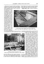 giornale/TO00189526/1907/unico/00000173