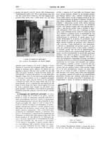 giornale/TO00189526/1907/unico/00000244