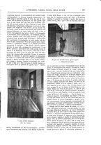 giornale/TO00189526/1907/unico/00000245