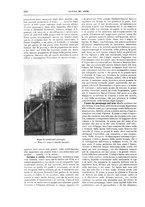 giornale/TO00189526/1907/unico/00000246