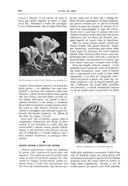 Natura ed arte rivista illustrata quindicinale italiana e straniera di scienze, lettere ed arti