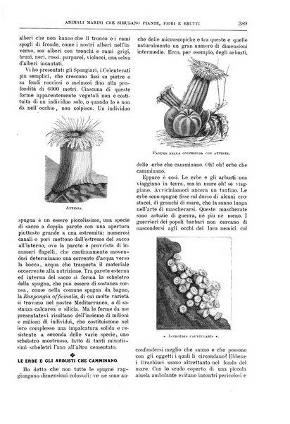 Natura ed arte rivista illustrata quindicinale italiana e straniera di scienze, lettere ed arti