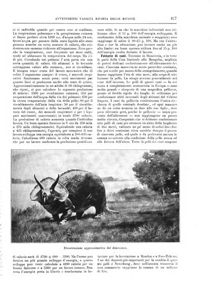 Natura ed arte rivista illustrata quindicinale italiana e straniera di scienze, lettere ed arti