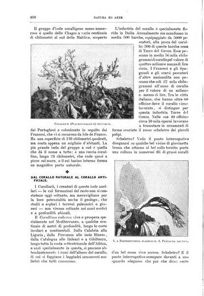 Natura ed arte rivista illustrata quindicinale italiana e straniera di scienze, lettere ed arti