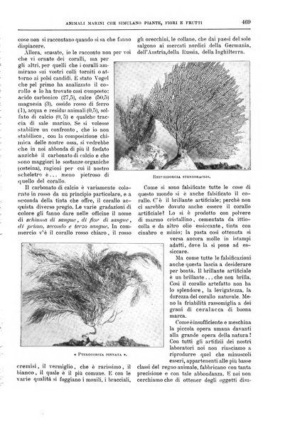 Natura ed arte rivista illustrata quindicinale italiana e straniera di scienze, lettere ed arti