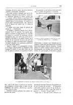 giornale/TO00189526/1907/unico/00000629