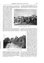 giornale/TO00189526/1907/unico/00000721