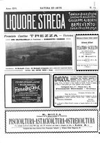 giornale/TO00189526/1907/unico/00001258