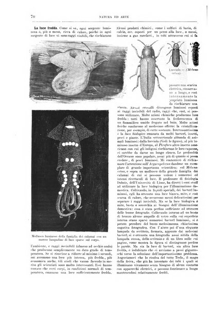 Natura ed arte rivista illustrata quindicinale italiana e straniera di scienze, lettere ed arti