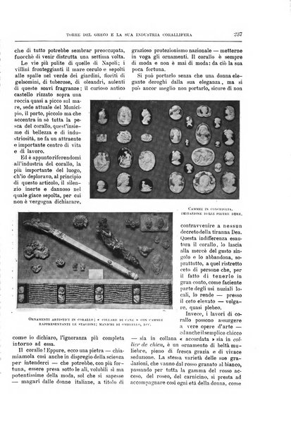 Natura ed arte rivista illustrata quindicinale italiana e straniera di scienze, lettere ed arti