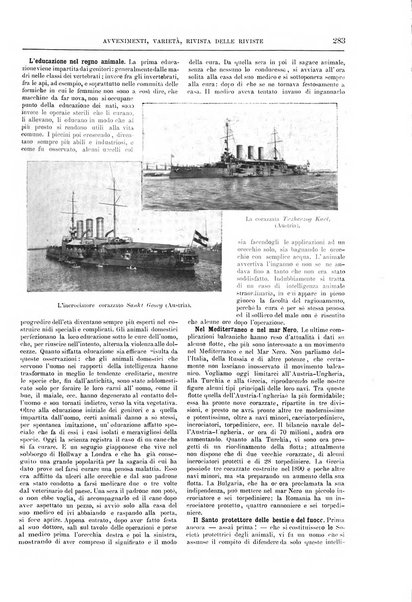 Natura ed arte rivista illustrata quindicinale italiana e straniera di scienze, lettere ed arti