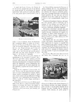 giornale/TO00189526/1908-1909/unico/00000384