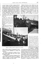 giornale/TO00189526/1908-1909/unico/00000491