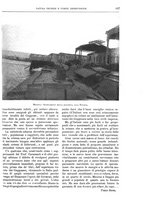 giornale/TO00189526/1908-1909/unico/00000501