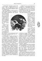 giornale/TO00189526/1908/unico/00000037