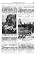 giornale/TO00189526/1908/unico/00000345