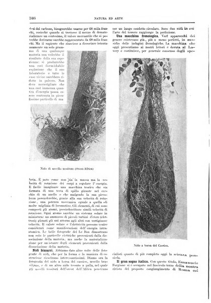 Natura ed arte rivista illustrata quindicinale italiana e straniera di scienze, lettere ed arti