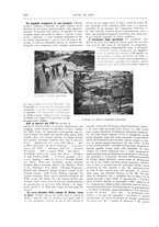 giornale/TO00189526/1909-1910/unico/00000398