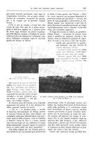 giornale/TO00189526/1909-1910/unico/00000667