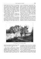 giornale/TO00189526/1909-1910/unico/00000881