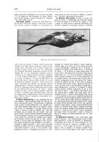 giornale/TO00189526/1909/unico/00000164