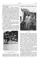 giornale/TO00189526/1909/unico/00000195