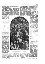 giornale/TO00189526/1909/unico/00000219