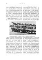 giornale/TO00189526/1909/unico/00000326