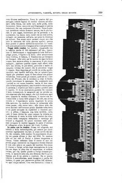 Natura ed arte rivista illustrata quindicinale italiana e straniera di scienze, lettere ed arti