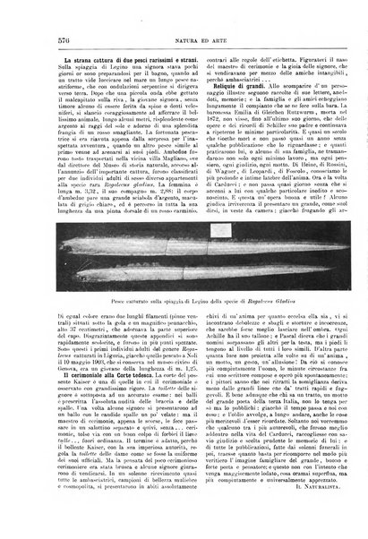 Natura ed arte rivista illustrata quindicinale italiana e straniera di scienze, lettere ed arti