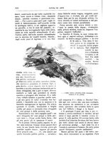 giornale/TO00189526/1909/unico/00000938