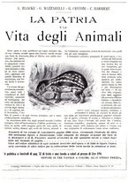 giornale/TO00189526/1910/unico/00000093