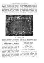 giornale/TO00189526/1910/unico/00000157