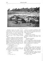 giornale/TO00189526/1910/unico/00000534