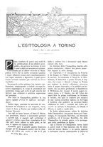 giornale/TO00189526/1910/unico/00000613