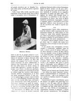 giornale/TO00189526/1910/unico/00000904