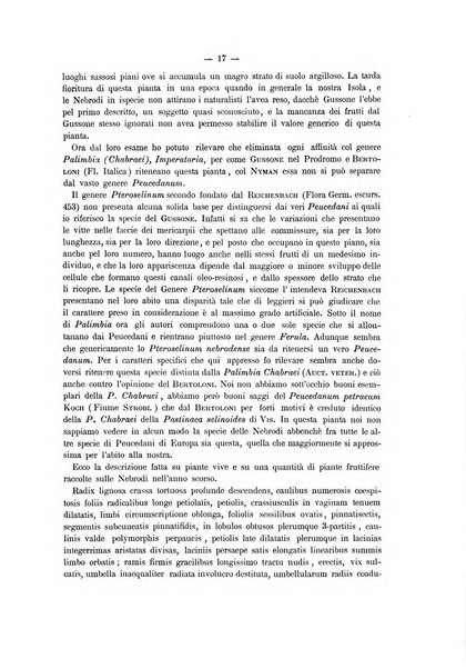 Il naturalista siciliano giornale di scienze naturali