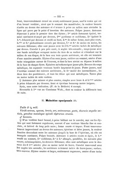 Il naturalista siciliano giornale di scienze naturali