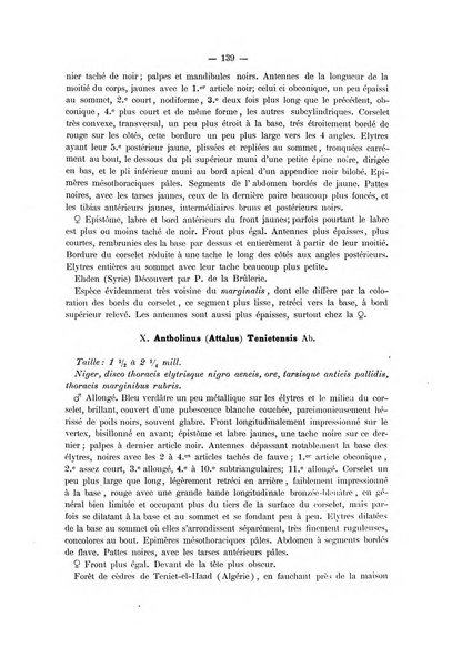 Il naturalista siciliano giornale di scienze naturali