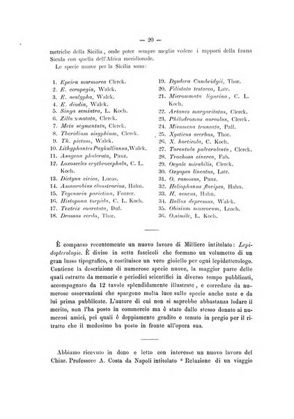 Il naturalista siciliano giornale di scienze naturali