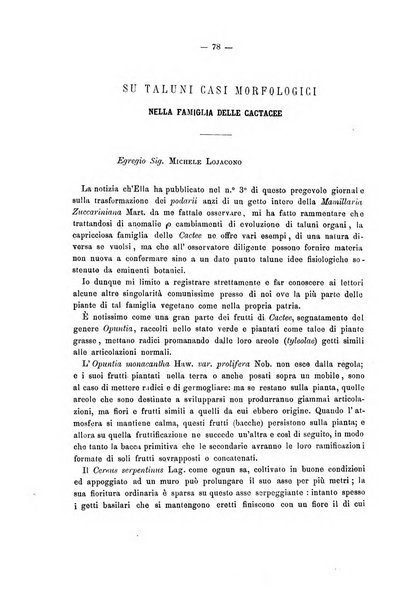 Il naturalista siciliano giornale di scienze naturali