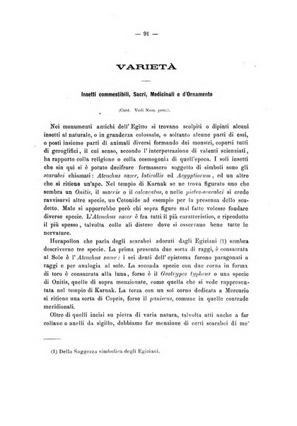 Il naturalista siciliano giornale di scienze naturali