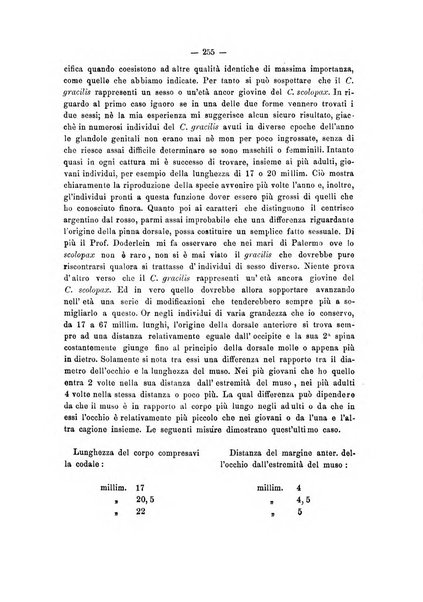 Il naturalista siciliano giornale di scienze naturali