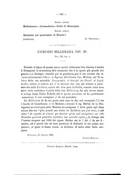 Il naturalista siciliano giornale di scienze naturali