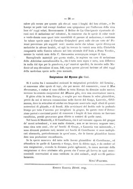 Il naturalista siciliano giornale di scienze naturali