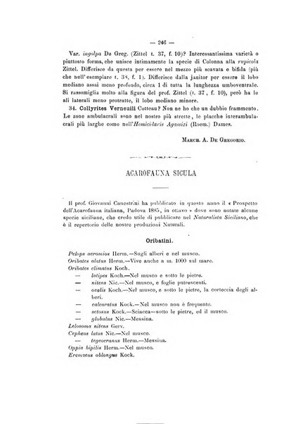 Il naturalista siciliano giornale di scienze naturali